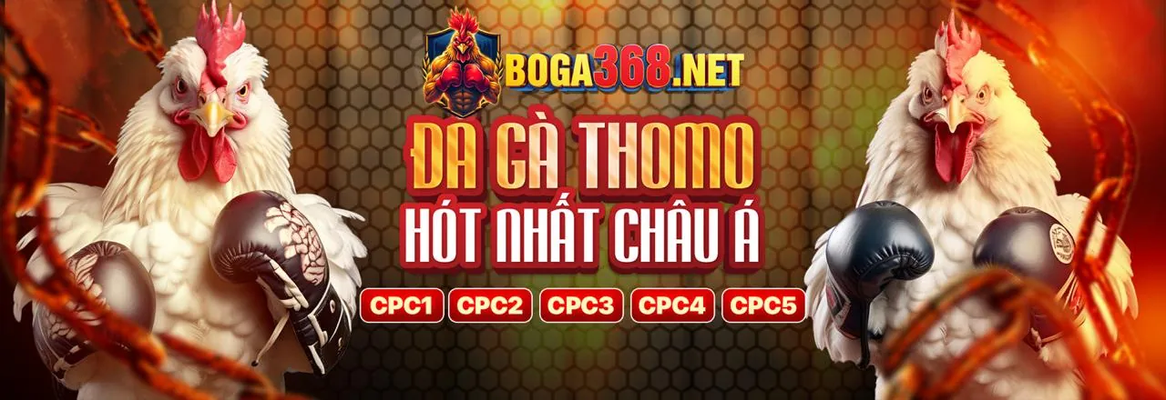 Ứng dụng zomclub chính thức trên điện thoại